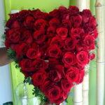 Cœur de Roses Rouges