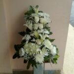 Composition Innocente