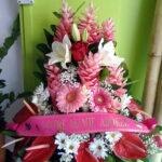 Composition Rose et Blanche